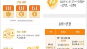 172 号卡副卡能共享主卡流量吗？亲情号规则