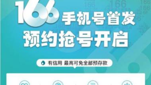 172 号卡靓号预约入口：每天 10 点抢号技巧