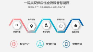 172 号卡分销的积分兑换方案，提升客户忠诚度