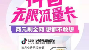 172 号卡流量结转上限是多少？官方公告解读