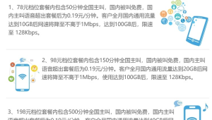 172 号卡分销的限速套餐，大流量低资费的选择