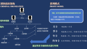 172号卡—解读172号卡代理层级：为何直接做一级是最优解