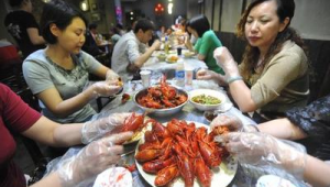 172 号卡分销的直播套餐，自媒体博主的流量方案