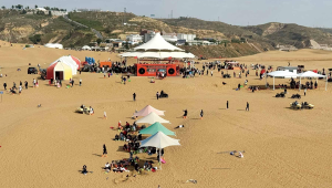 172号卡用户续费优惠券批量领取