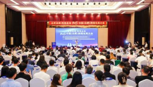 172号卡适合做跨境电商客服吗