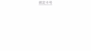 172 号卡用户信息查询：快速掌握流量卡使用状态